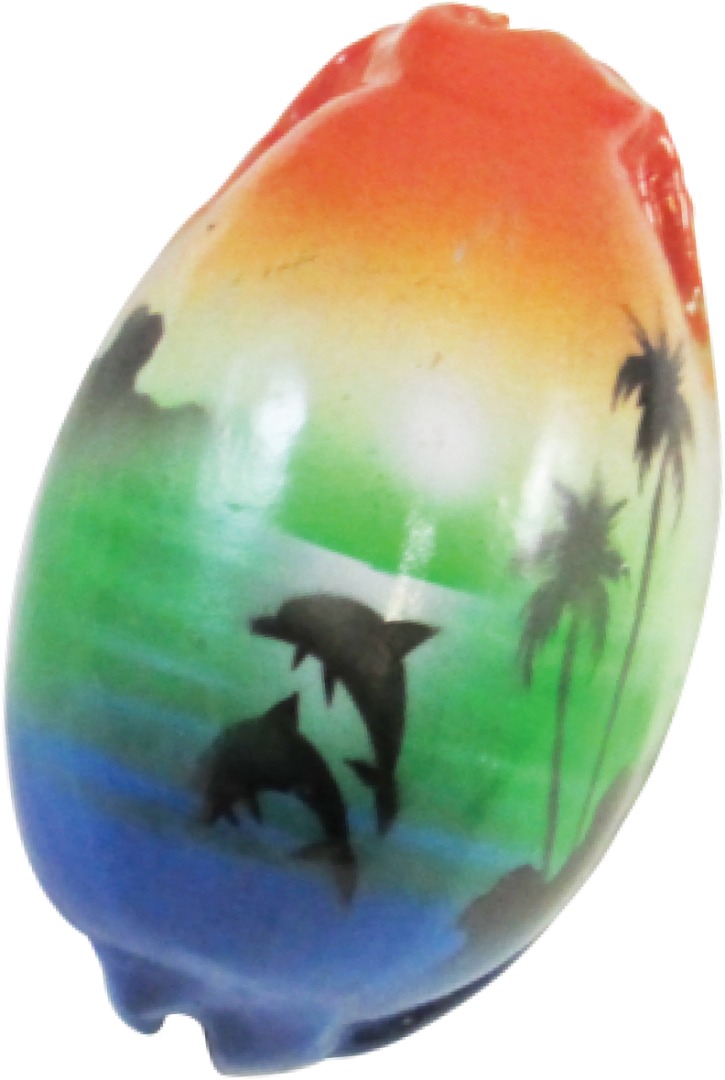 Miami Souvenirs AIRBRUSHED SHELL